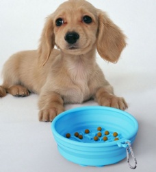 Portable Silicone Pet Folding Bowl, Outdoor Pet Bowl for Water & Food Feeding